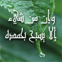 /album/%d9%85%d8%b9%d8%b1%d8%b6%20%d8%a7%d9%84%d8%b5%d9%88%d8%b1/a1111111-11-jpg/